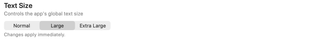 Text Size selector with Normal, Large, and Extra Large choices
