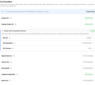 CLI Providers overview showing runtime and compatible-backend cards